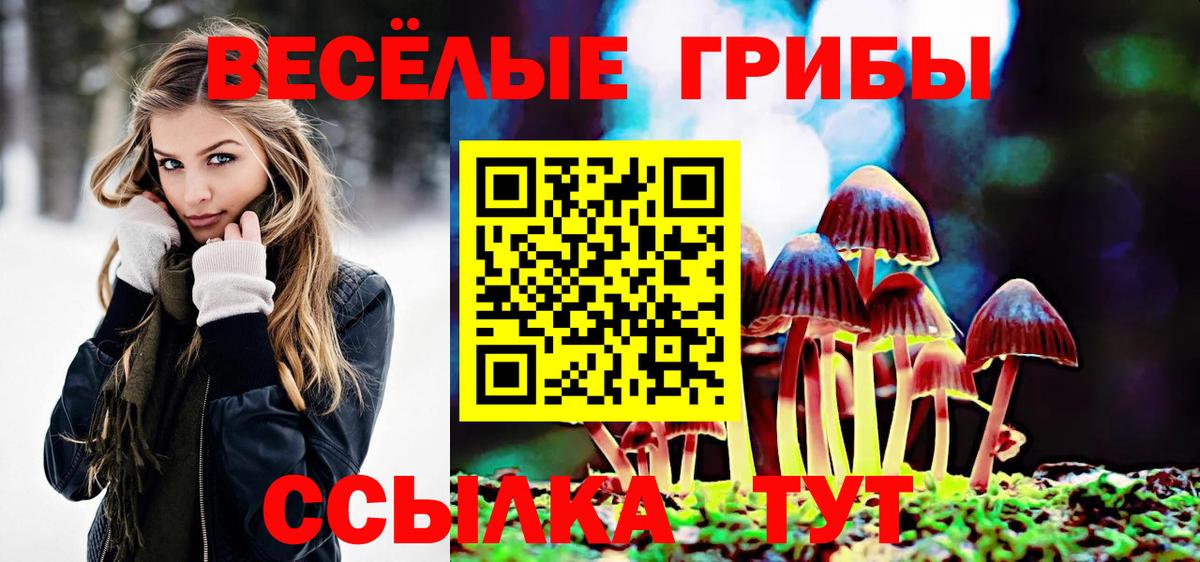 Псилоцибиновые грибы мицелий  Вход с VPN  Спасск-Дальний  Галлюциногенные грибы прущие грибы 