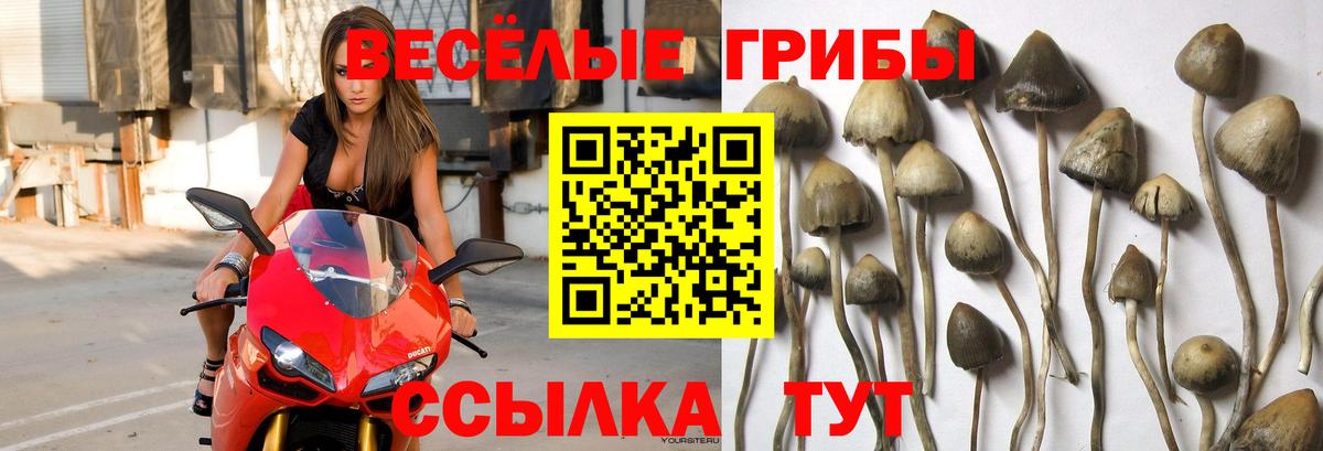 Галлюциногенные грибы Magic Shrooms Спасск-Дальний